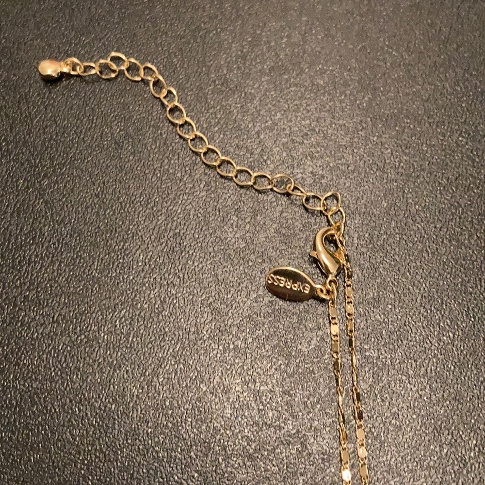 NWOT Express Long Necklace - Picture 4 of 4